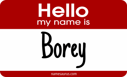Hello my name is Borey png download