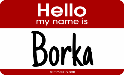 Hello my name is Borka png download