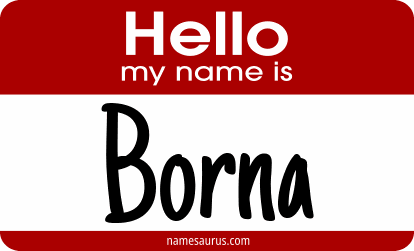 Hello my name is Borna png download
