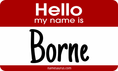 Hello my name is Borne png download