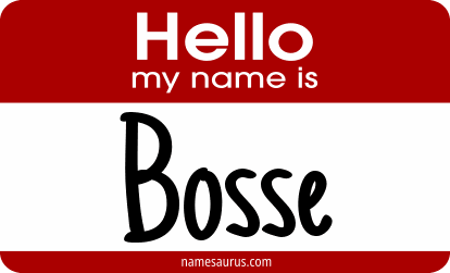 Hello my name is Bosse png download
