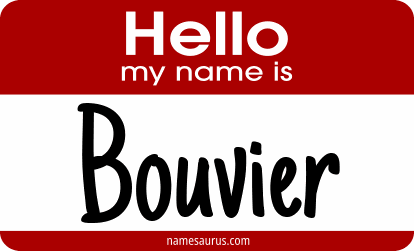 Hello my name is Bouvier png download