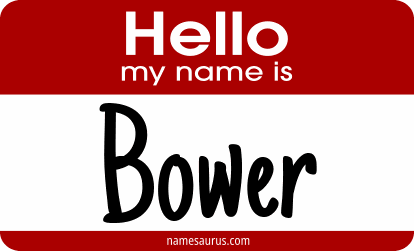 Hello my name is Bower png download
