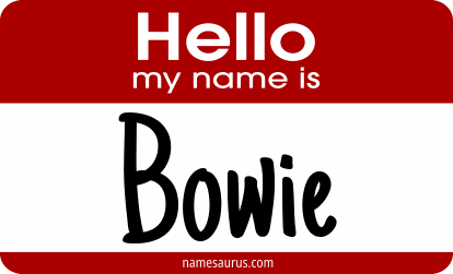 Hello my name is Bowie png download
