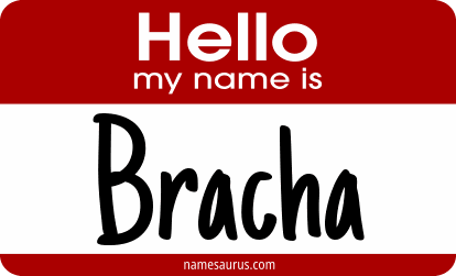 Hello my name is Bracha png download