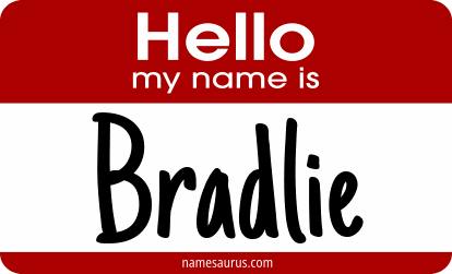 Hello my name is Bradlie png download
