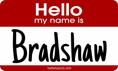 Hello my name is Bradshaw png download