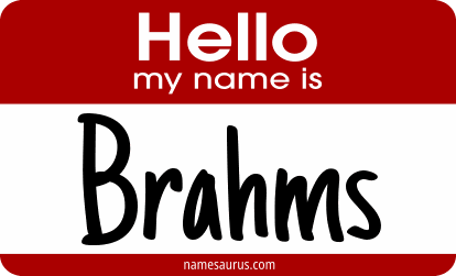 Hello my name is Brahms png download