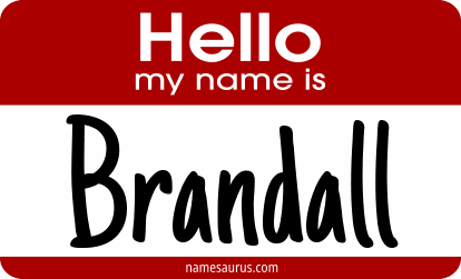 Hello my name is Brandall png download
