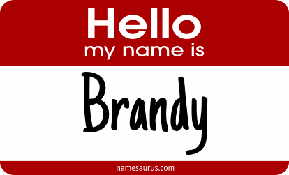 Hello my name is Brandy png download