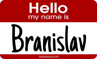 Hello my name is Branislav png download