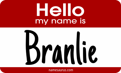 Hello my name is Branlie png download