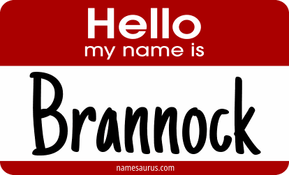 Hello my name is Brannock png download