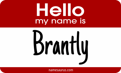 Hello my name is Brantly png download