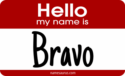 Hello my name is Bravo png download