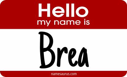 Hello my name is Brea png download