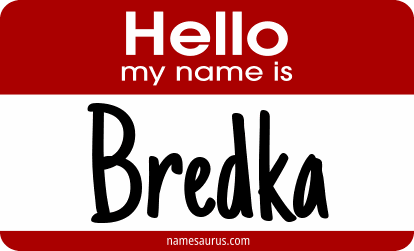 Hello my name is Bredka png download