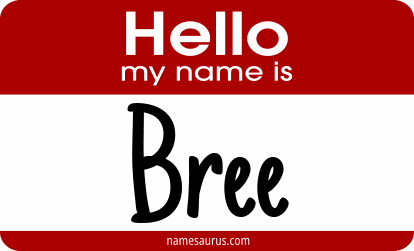 Hello my name is Bree png download