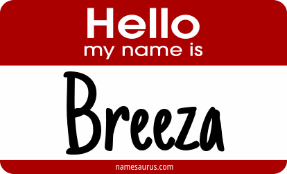 Hello my name is Breeza png download