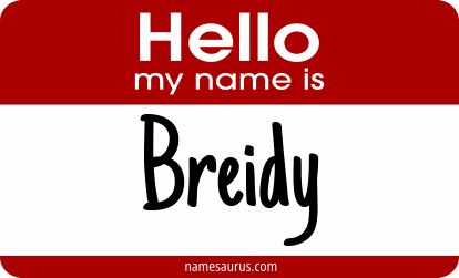 Hello my name is Breidy png download