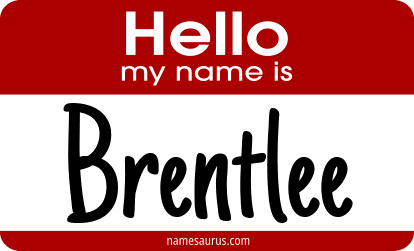 Hello my name is Brentlee png download