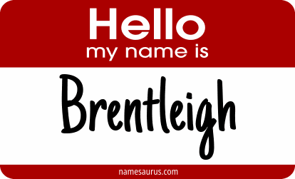 Hello my name is Brentleigh png download