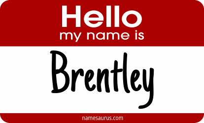 Hello my name is Brentley png download