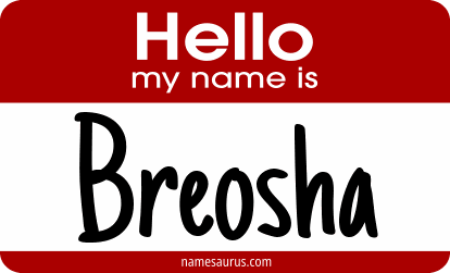 Hello my name is Breosha png download