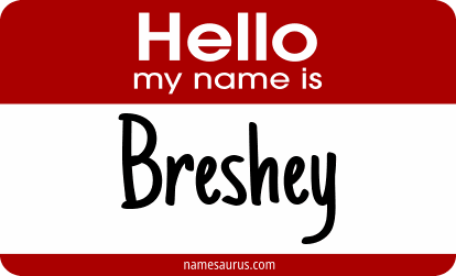 Hello my name is Breshey png download