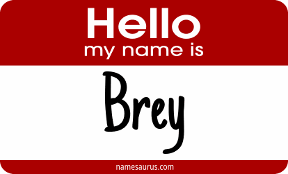 Hello my name is Brey png download