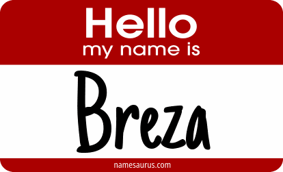 Hello my name is Breza png download