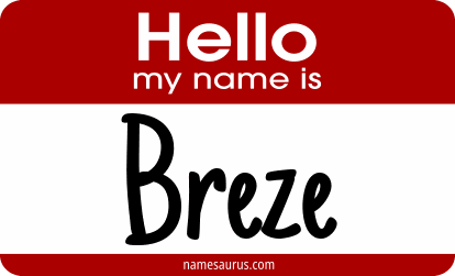 Hello my name is Breze png download