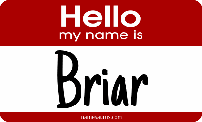 Hello my name is Briar png download