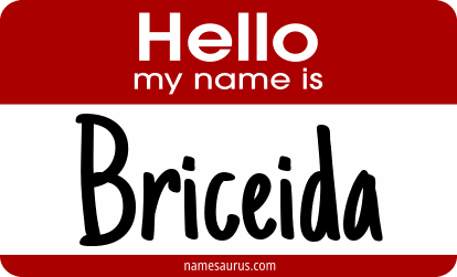 Hello my name is Briceida png download