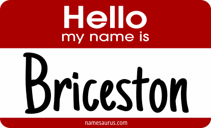 Hello my name is Briceston png download