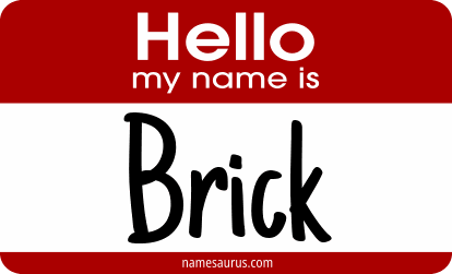 Hello my name is Brick png download