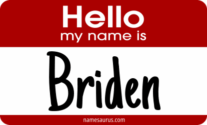 Hello my name is Briden png download