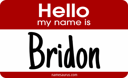 Hello my name is Bridon png download