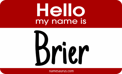 Hello my name is Brier png download