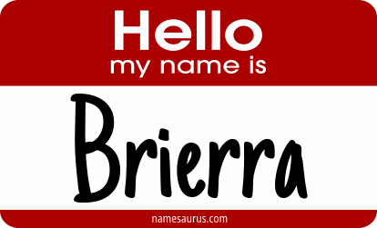Hello my name is Brierra png download