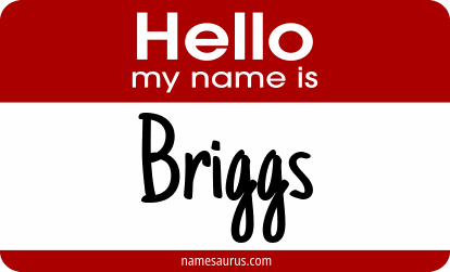 Hello my name is Briggs png download