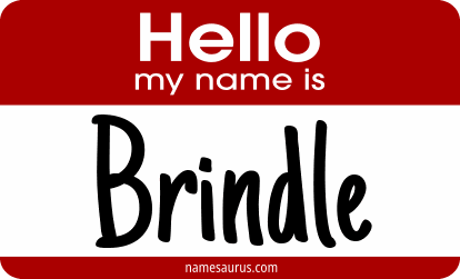 Hello my name is Brindle png download