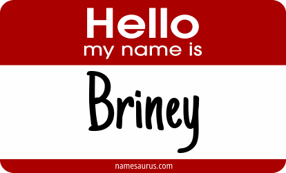 Hello my name is Briney png download