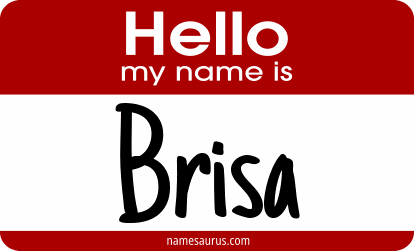 Hello my name is Brisa png download