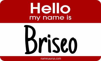 Hello my name is Briseo png download