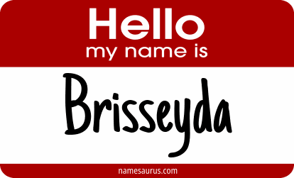 Hello my name is Brisseyda png download