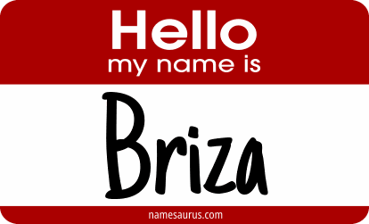Hello my name is Briza png download