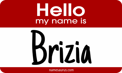 Hello my name is Brizia png download