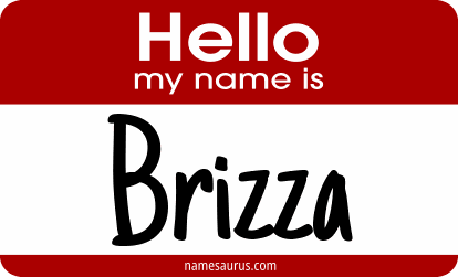 Hello my name is Brizza png download