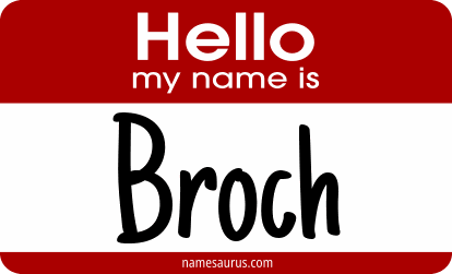 Hello my name is Broch png download